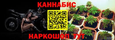 индика Наро-Фоминск